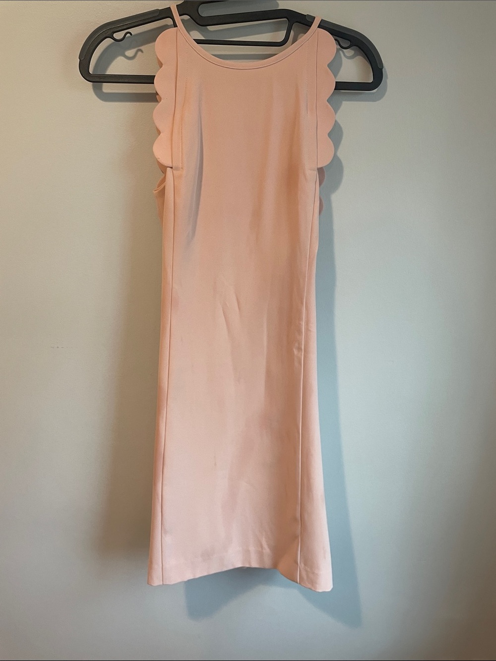 Ann Taylor Scallop-Trim Sleeveless Blouse in Light Pink